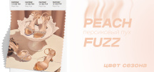  : Peach Fuzz  " "