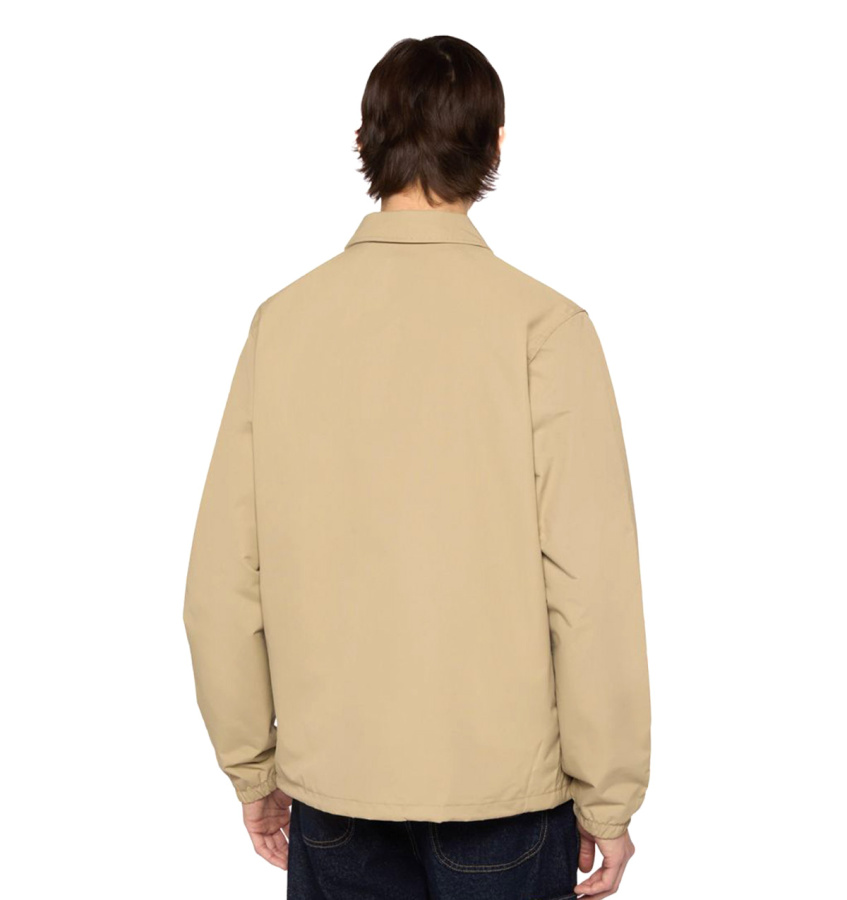 Dickies
