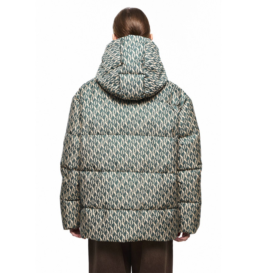 DREAMS by Alena Akhmadullina