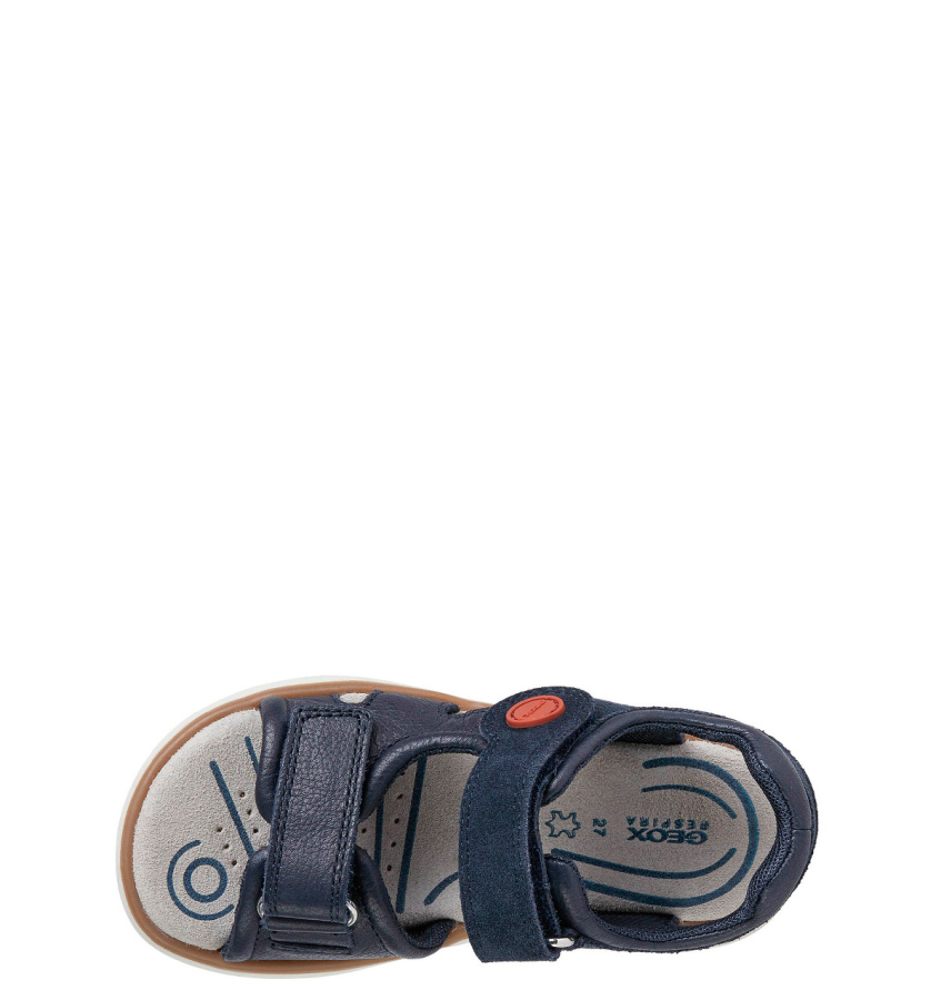 GEOX