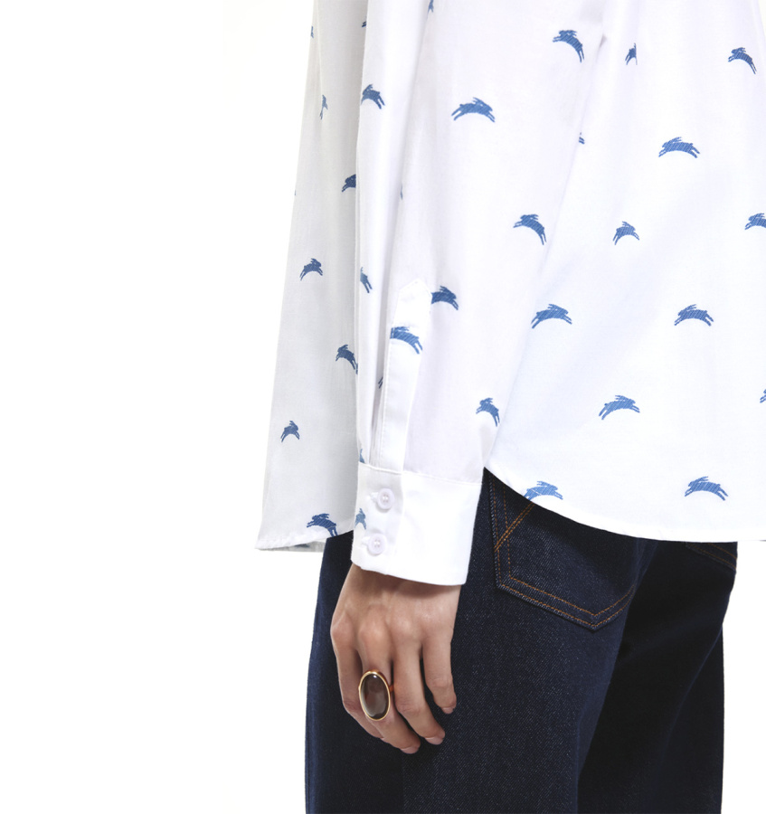 DREAMS by Alena Akhmadullina