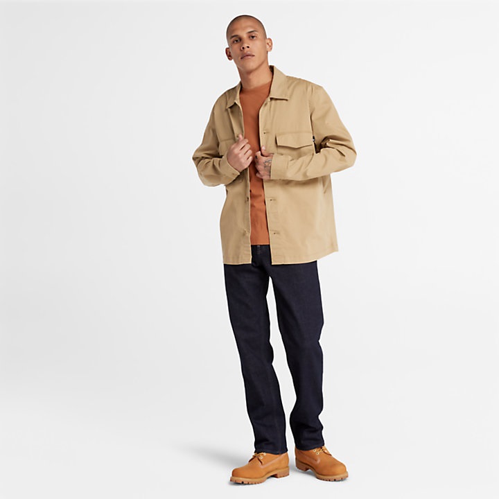 Timberland