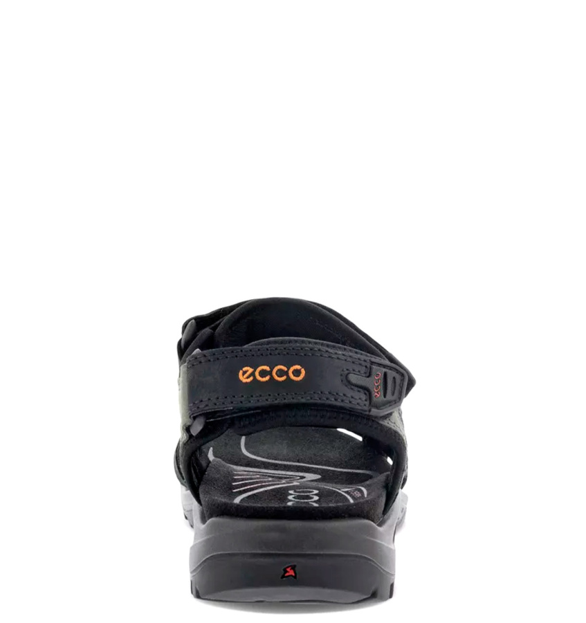ECCO