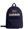 NAPAPIJRI