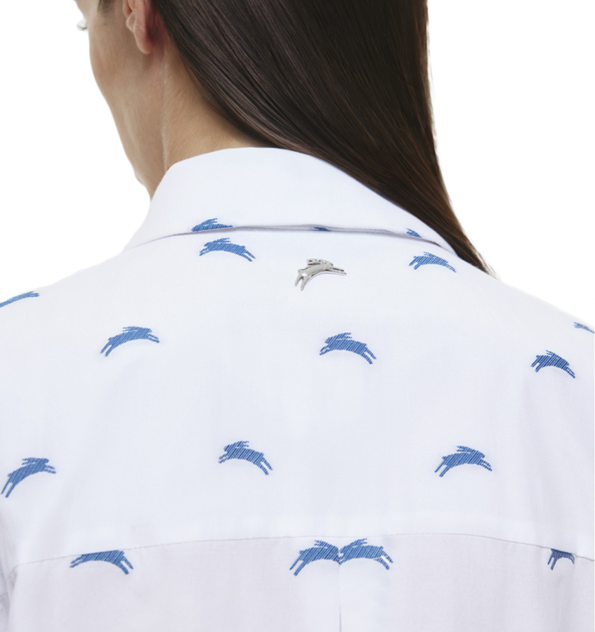 DREAMS by Alena Akhmadullina