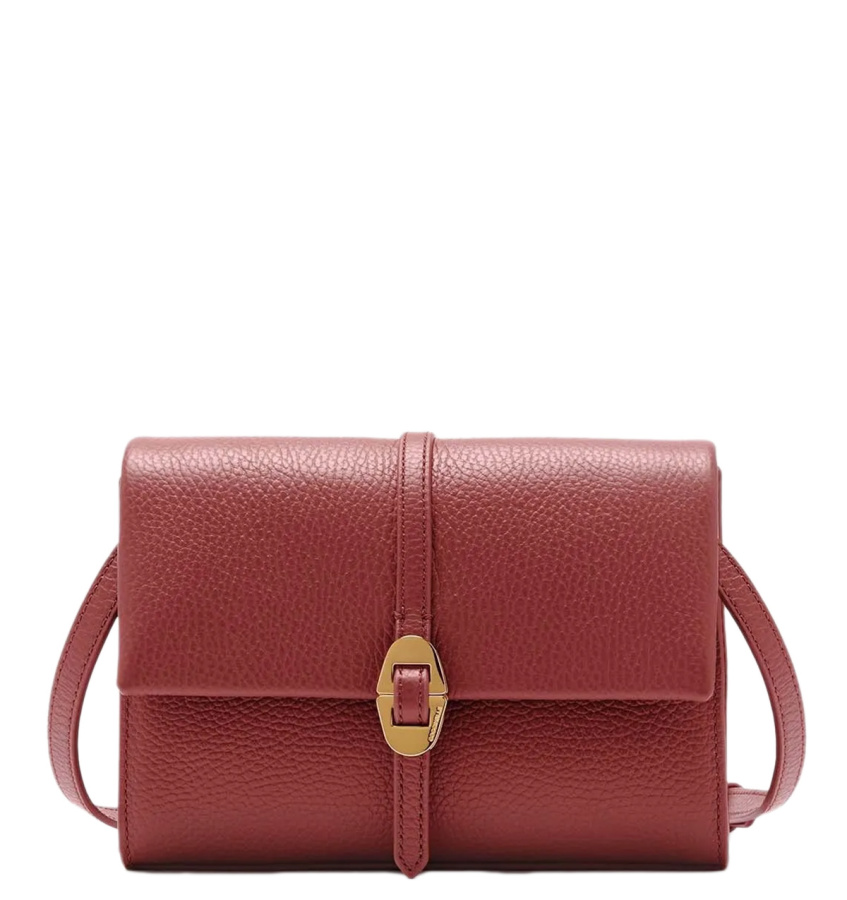 Coccinelle