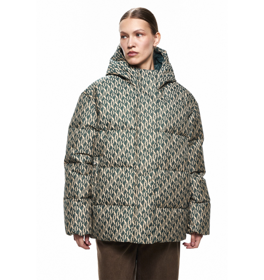 DREAMS by Alena Akhmadullina