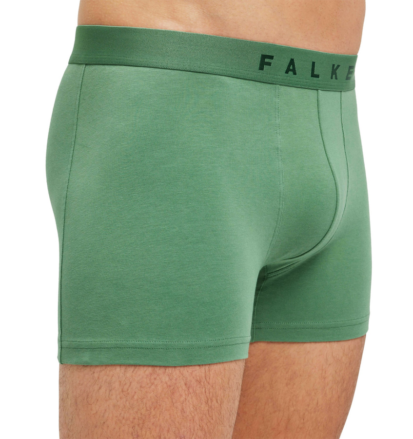 Falke