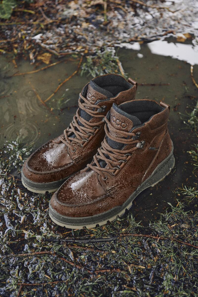 ecco winter.jpg