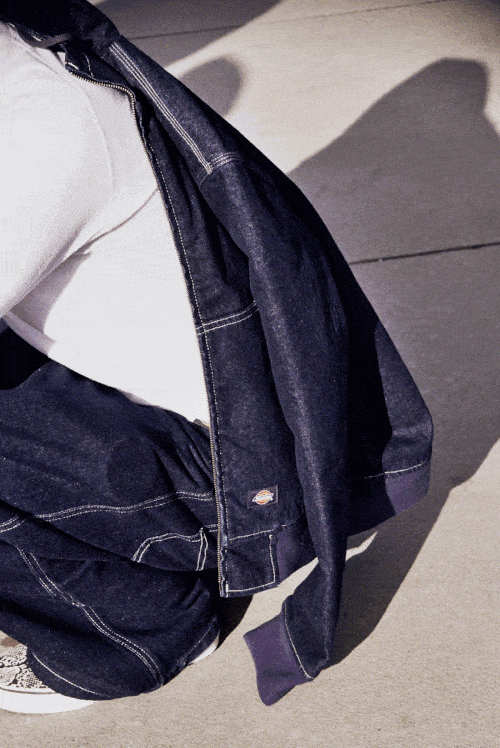 dickies_new.gif