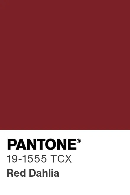 pantone-color-chip-19-1555-tcx.jpg