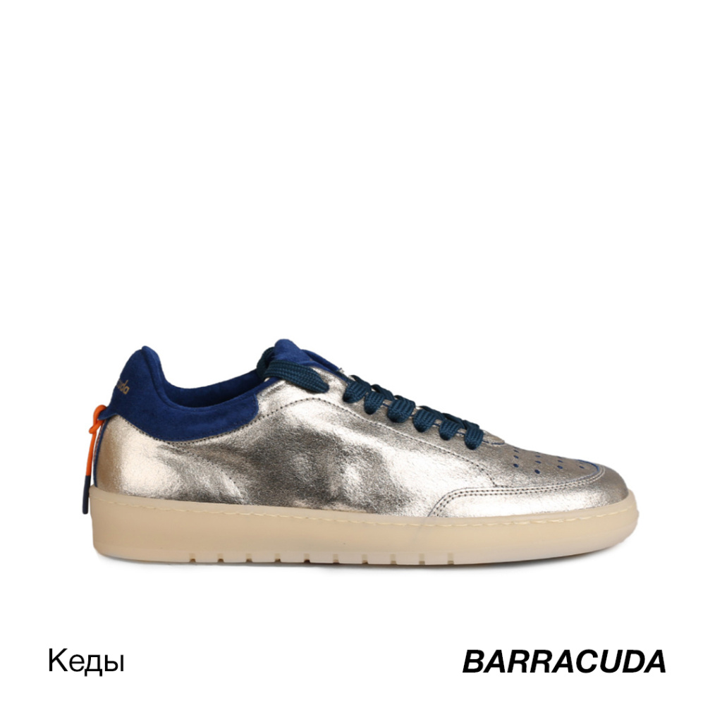 -Barracuda.jpg