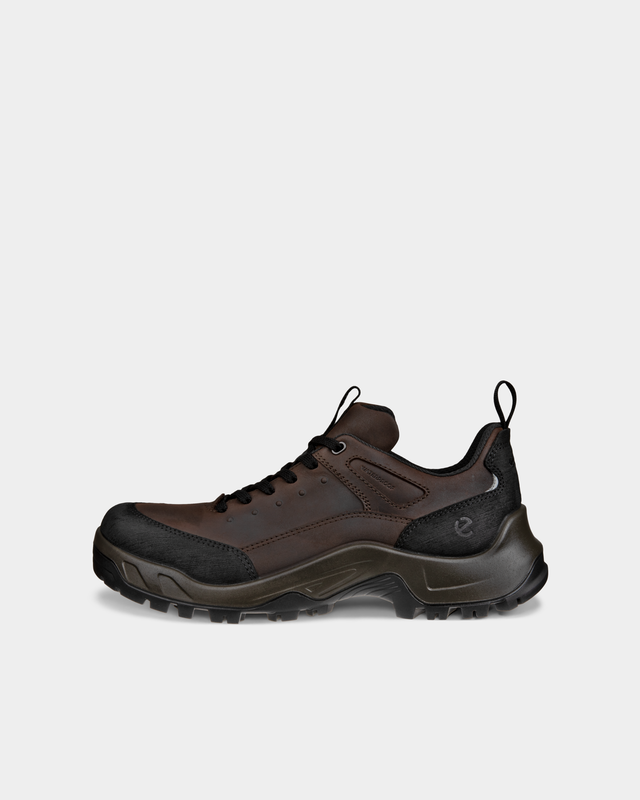 ECCO outdoor.png