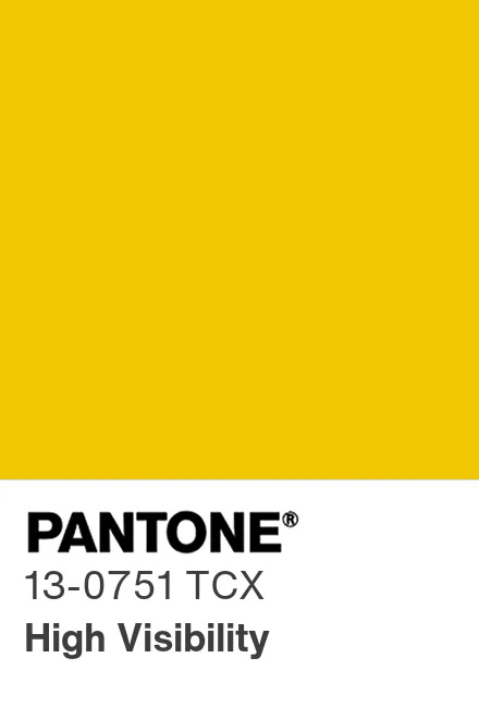 pantone-color-chip-14-0255-tsx.jpg
