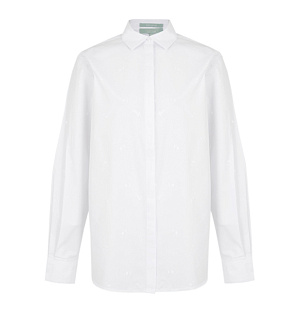 DREAMS by Alena Akhmadullina