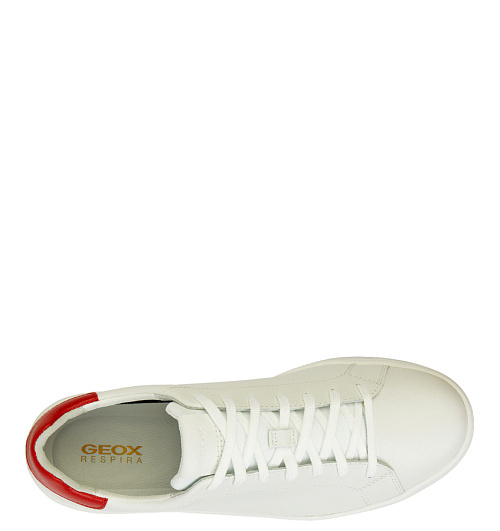 GEOX Geox  