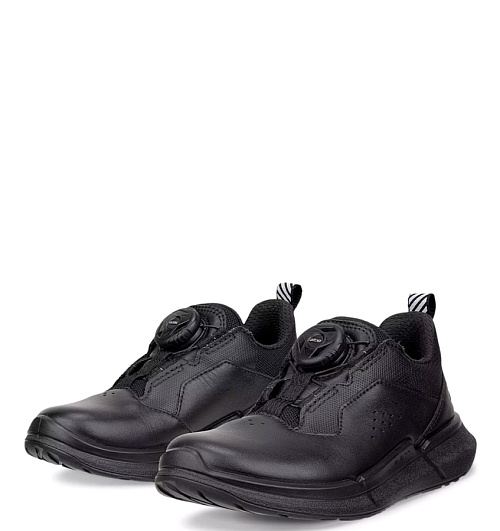ECCO
