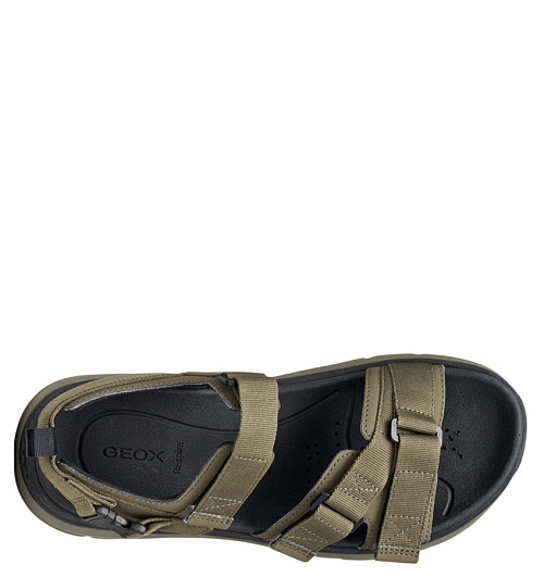 GEOX Geox  