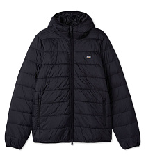 Dickies Dickies