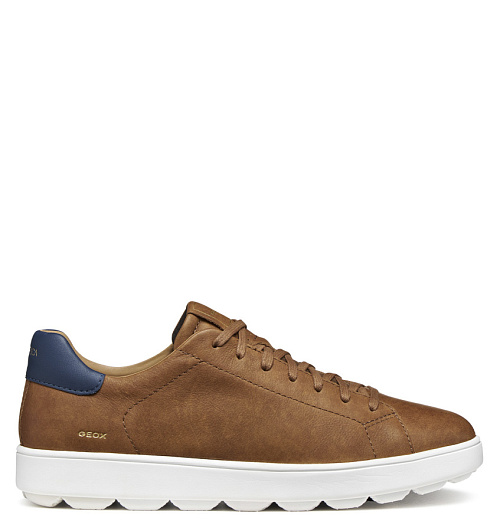 GEOX Geox  