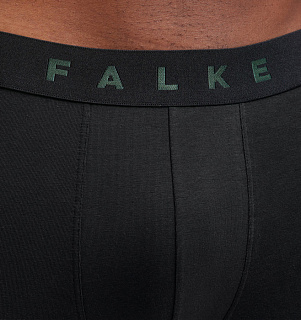 Falke