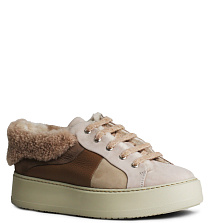 Camerlengo Camerlengo