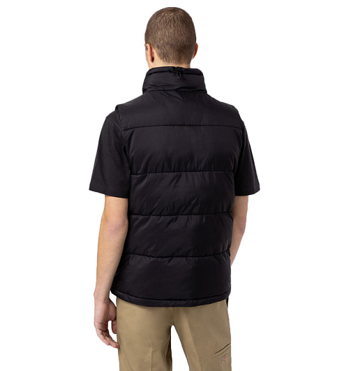 Dickies Dickies  