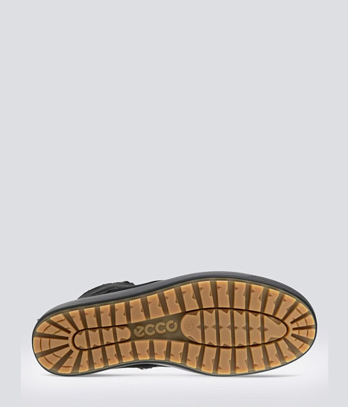 ECCO