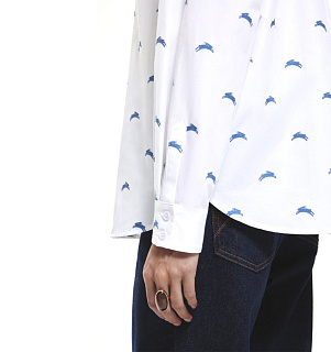 DREAMS by Alena Akhmadullina