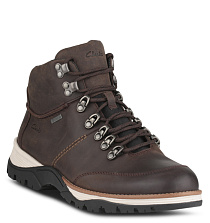 CLARKS