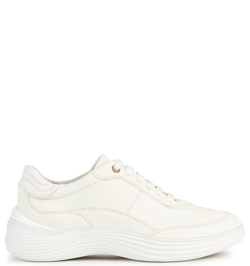 GEOX Geox  