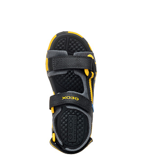 GEOX