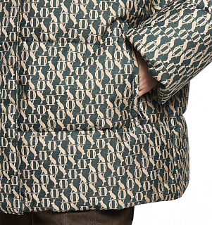 DREAMS by Alena Akhmadullina