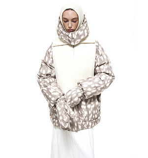 DREAMS by Alena Akhmadullina