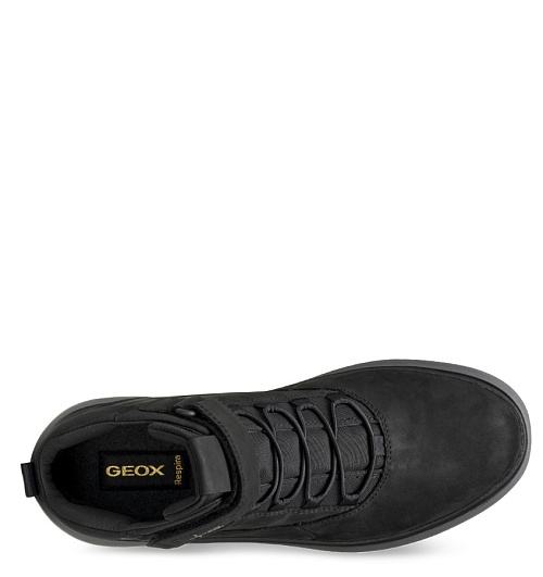 GEOX Geox  