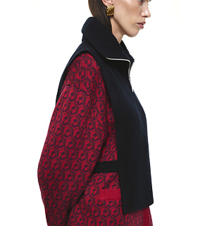 DREAMS by Alena Akhmadullina