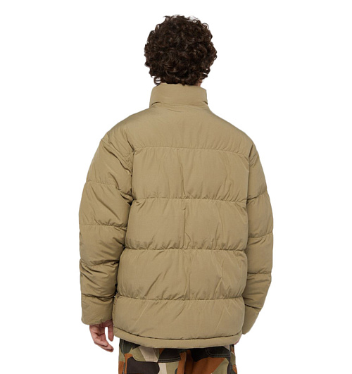 Dickies Dickies  