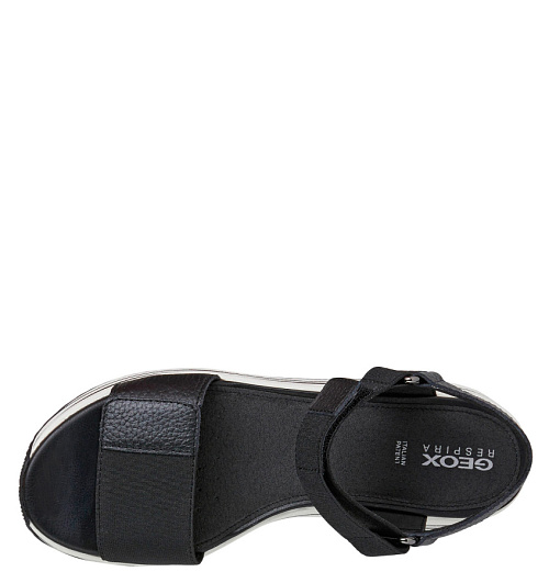 GEOX Geox  