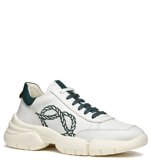 GEOX Geox  