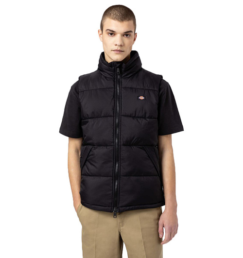 Dickies Dickies  