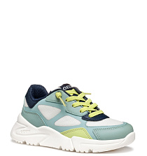 GEOX GEOX