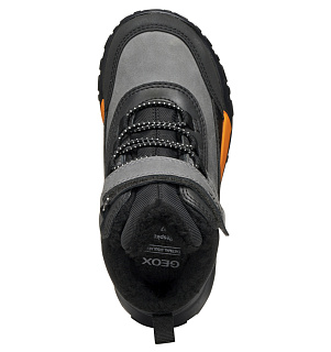 GEOX