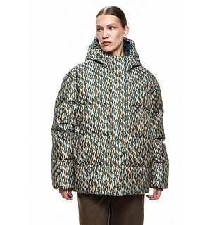 DREAMS by Alena Akhmadullina