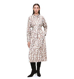 DREAMS by Alena Akhmadullina