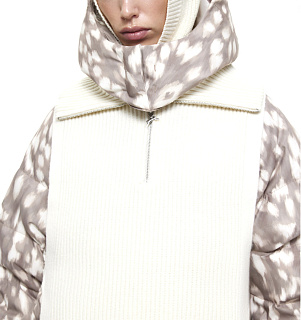 DREAMS by Alena Akhmadullina