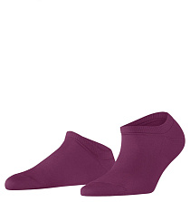 FALKE