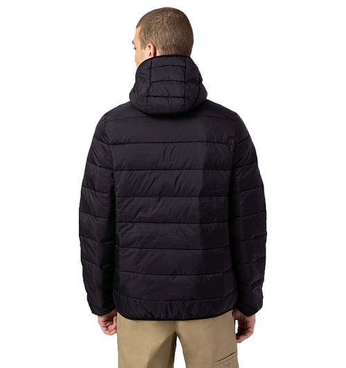 Dickies Dickies  
