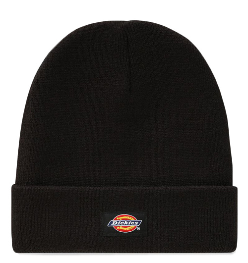 Dickies Dickies  