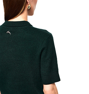 DREAMS by Alena Akhmadullina