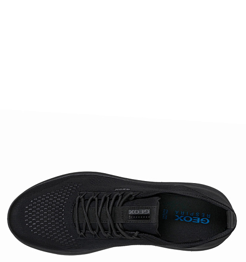 GEOX Geox  